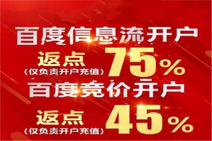 SEM主管实战案例：广告投放策略优化